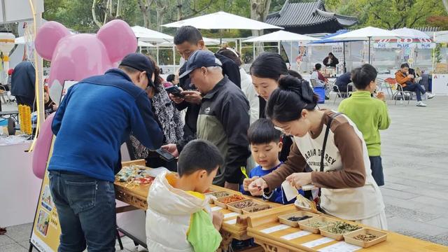 “今天我去栖霞山了！”