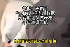 “今天起一切工作禁止用AI！”这条视频火了，网友：确实有风险，可以判刑了图片