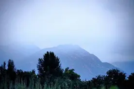 清晨湿地行，与鸟儿相伴，静观云舒云卷图片