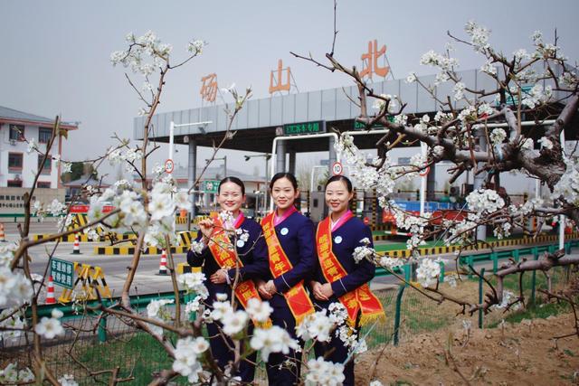 “徽风皖韵”里，交旅新画卷