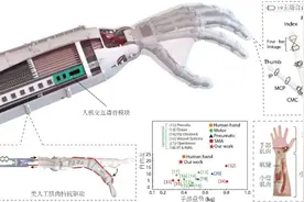 19自由度假肢灵巧手，复现人手级运动能力！ | 科技前线图片
