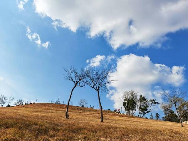 青岛又解锁一山头秘境，平行世界公园来啦！自然与欢乐都在线