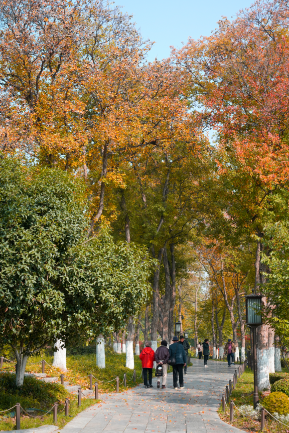 秋风引路入曲江，芙蓉金叶映红墙