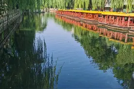 济南夏天的护城河杨柳依依风景如画水中倒影如诗如画图片