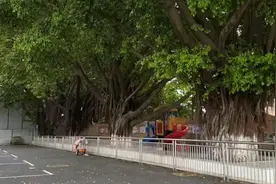 深圳这个城中村，为何引发新华社关注？图片