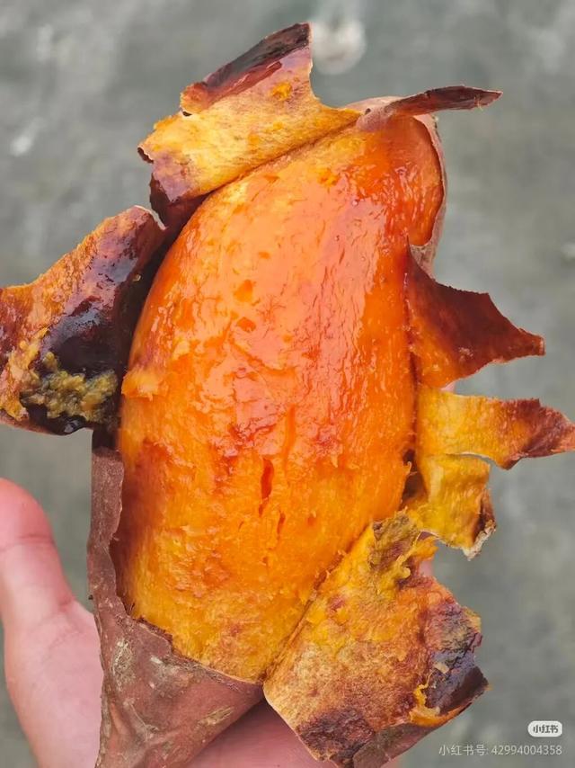 在甘肃，这些秋天仪式感拉满的事，你做了几件？