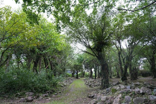 来芒市，赴一场雨季的“绿野仙踪”——有一种叫云南的生活之365天