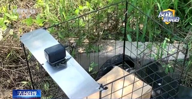 遥控车成诈骗工具 警方揭秘犯罪团伙如何“无接触”套现百万