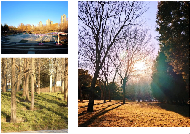 别想了，这个周末就在东湖见面！