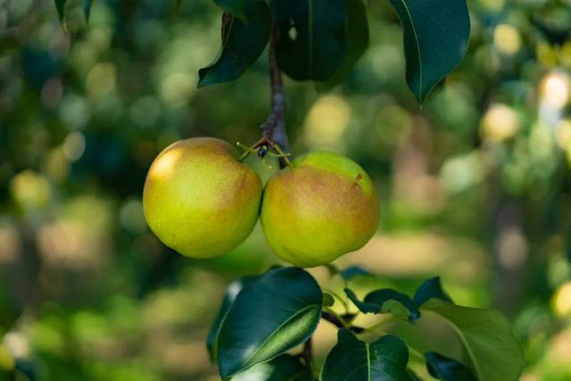 乡见中国·遇见隰县