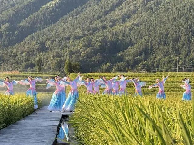 2025叙永文旅年度答卷——文化馆篇