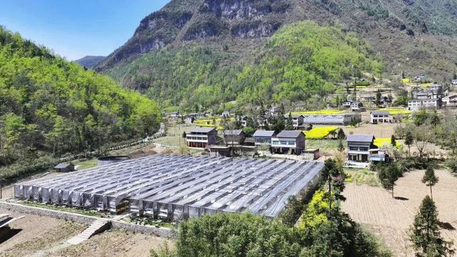 锦绣天府·安逸四川｜厚植生态本底赋能康养之廊