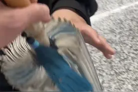 坐地铁是否可以带油纸伞引热议 清明假期出行还有哪些物品禁止携带？图片