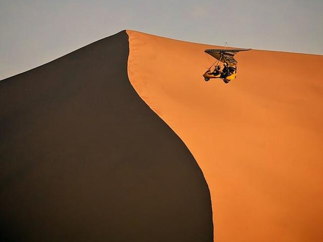 北京号最精彩｜赏菊+品宴！初冬的第一份浪漫就藏在这里→