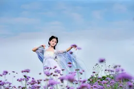 徜徉紫色花海图片