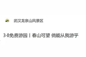 3月8日免费游！武汉龙泉山风景区发布最新公告！图片