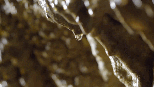 走！跟着央视热播剧，打卡毕节