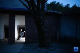 四季中国丨铜陵白姜越冬记图片