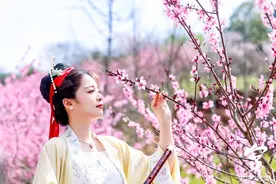 春日赏花正当时②：桃花朵朵开，去这些地方遇见“世外桃源”图片