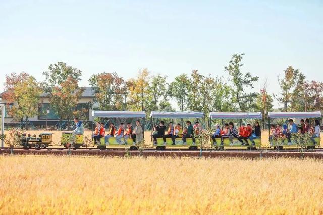 来宿城，解锁N种田园撒欢方式！