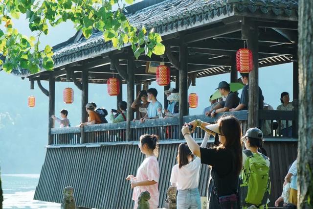 这两天，莲都这里人气爆棚！