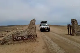在纳米比亚邂逅开普毛皮海豹图片