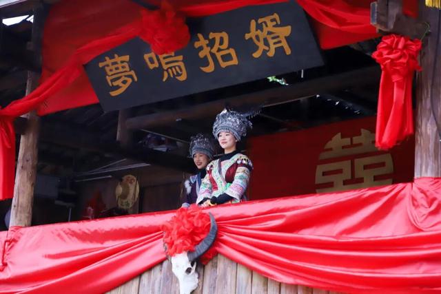 斗马招婿！来看看成为合格的融水苗族女婿需要几步？