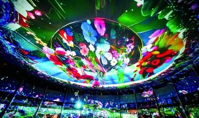 从“光之舞”到“城之韵”