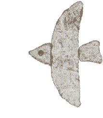 层林尽染赏秋时！宝山11月文旅活动清单，超多活动等你来打卡