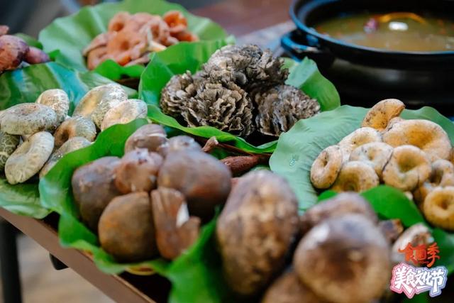 跟着小菌子玩出大花样 云南野生菌旅游产品发布