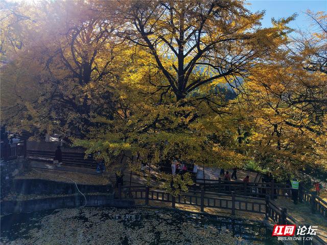 【每日一图@湖南】在永州桐子坳，我找到了最动人的浪漫