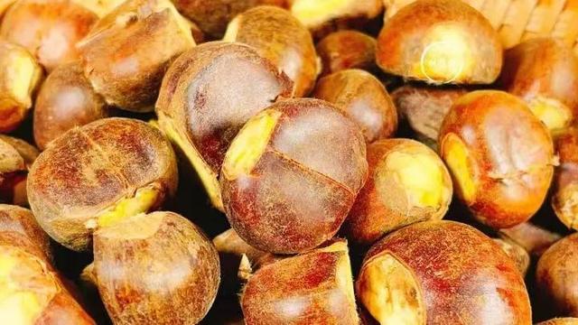 又到栗子季！“栗子控”要知道的那些事全在这了→