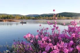 绿色小城阿尔山：不如一见图片