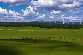 这么近那么美，周末去河北北！图片