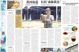 好山东|全国桑黄七成产自临清，黄河故道长出“森林黄金”图片