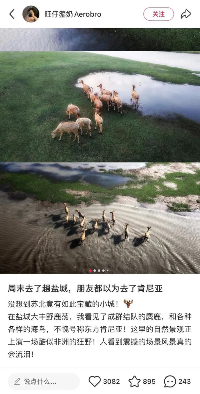 跟着达人一起打卡盐城限定秋景~