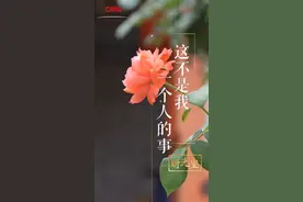 时光里丨送人贩子上法庭 这不是我一个人的事图片