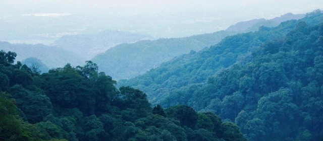 离开浪浪山，到成都的山里来浪一浪！