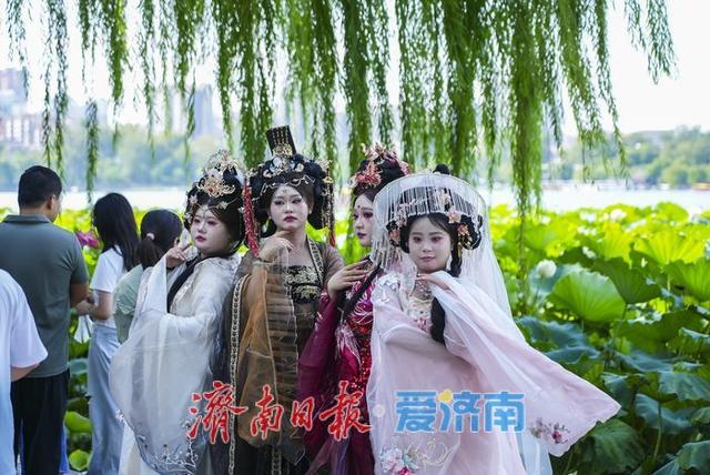 一年四季 泉在济南丨初秋荷韵醉游人