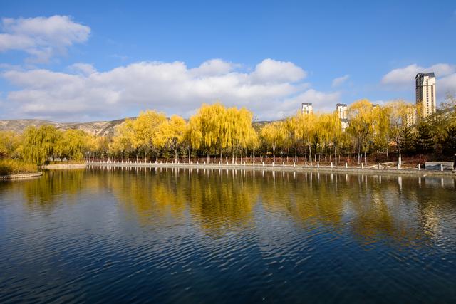 定西湖・初冬：柳黄映水 候鸟翩跹