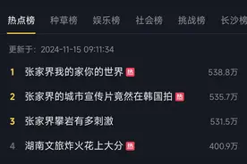 张家界进军影视圈了？电影级宣传片好评爆表，博主：求出多国语言版！图片