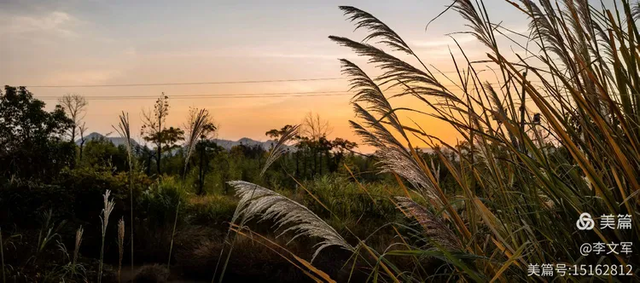 上海“旁友”三刷龙虎山的真实原因：不要太灵哦！（附独家游记）