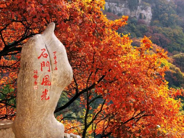 国庆来潍坊丨畅游“齐鲁天路”，五地特色盛宴邀您打卡