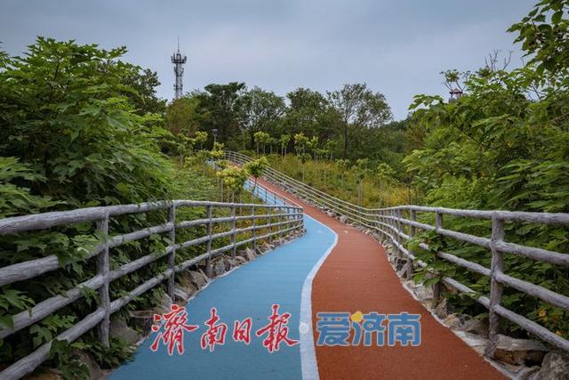 一年四季 泉在济南丨济南药山公园：生态之美与健身之乐的绝佳融合