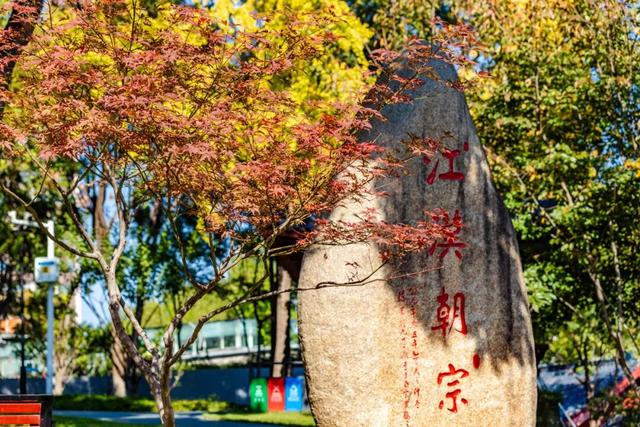 在江汉，听见公园里的秋色私语