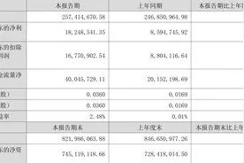 嘉应制药：2023年上半年净利润1824.85万元 同比增长112.32%图片