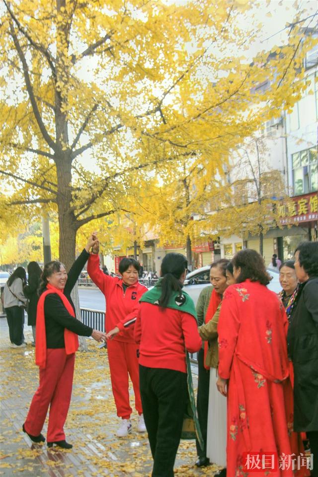 湖北荆州：闹市中藏着“银杏谷”