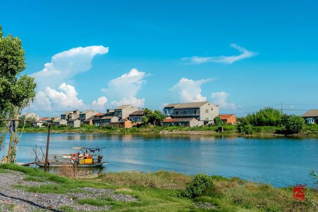 来洪湖，“藕”遇千年秋色！