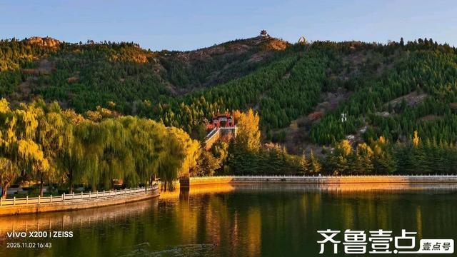 壹点号·秀山东｜汶河湿地秋韵：诗意与灵动画卷的交织
