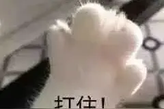百余名老人超700万元的养老钱被骗！竟是为了预定养老公寓床位……图片